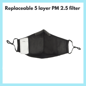 Reusable and Washable Anti Pollution Masks with 4 PM 2.5 Replaceable Filters - Burgundy Color, Large (Ideal for 60-90 kgs body weight)