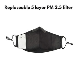 Reusable and Washable Anti Pollution Masks with 4 PM 2.5 Replaceable Filters - Green Color, Large (Ideal for 60-90 kgs body weight)